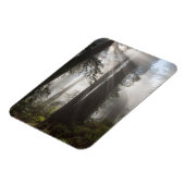 レッドウッド国立公園カリフォルニア マグネット (左側)