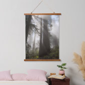 レッドウッド国立公園カリフォルニア 吊り下げ型タペストリー (寝室)