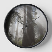 レッドウッド国立公園カリフォルニア 壁時計 (正面)