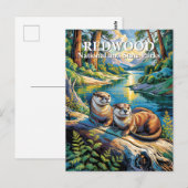 レッドウッド国立公園 オッターズ モダン ヴァン・ゴッホ ポストカード (正面/裏面)