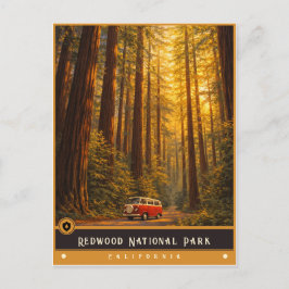 レッドウッド国立公園 | ビンテージポストカード ポストカード
