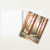 レッドウッド国立公園 | 水彩旅行アート プランナー手帳 (ディスプレー)