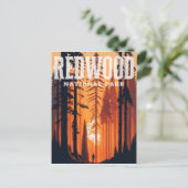 レッドウッド国立公園CAポストカード ポストカード (スタンド正面)