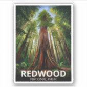 レッドウッド国立州公園,コースタルカリフォルニア シール (正面)