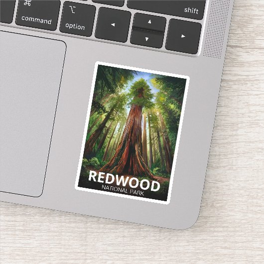 レッドウッド国立州公園,コースタルカリフォルニア シール (詳細)