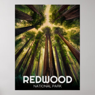 レッドウッド国立州公園,コースタルカリフォルニア ポスター