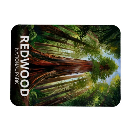 レッドウッド国立州公園,コースタルカリフォルニア マグネット (横)