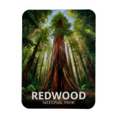 レッドウッド国立州立公園、カリフォルニア州の海岸 マグネット (縦)