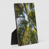 レッドウッド国立州立公園, カリフォルニア フォトプラーク (側面)