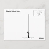 レッドウッド国立林 ポストカード (裏面)