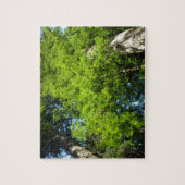 レッドウッド大枝アットレッドウッド国立公園 ジグソーパズル (縦)