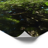 レッドウッド大枝アットレッドウッド国立公園 ポスター (角)