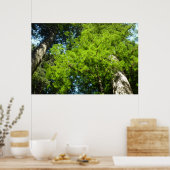 レッドウッド大枝アットレッドウッド国立公園 ポスター (キッチン)