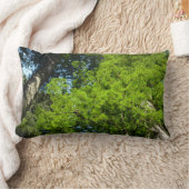 レッドウッド大枝アットレッドウッド国立公園 ランバークッション (ブランケット)