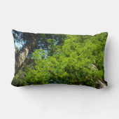 レッドウッド大枝アットレッドウッド国立公園 ランバークッション (裏面)