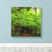 レッドウッド森林のカエデの木 キャンバスプリント (インサイチュ (ウッドフロア))