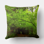 レッドウッド森林のカエデの木 クッション (裏面)