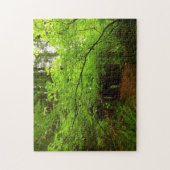 レッドウッド森林のカエデの木 ジグソーパズル (縦)