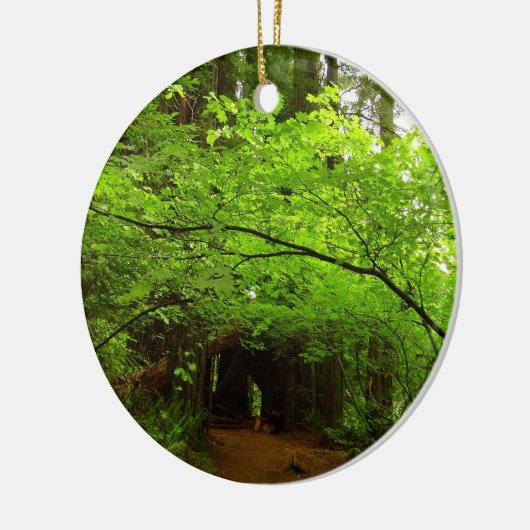 レッドウッド森林のカエデの木 セラミックオーナメント (左)