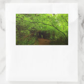 レッドウッド森林のカエデの木 長方形シール (バッグ)