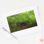 レッドウッド森林のカエデの木 長方形シール (封筒)