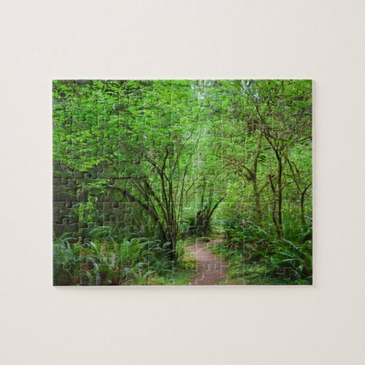 レッドウッド森林のトレイル ジグソーパズル (横)