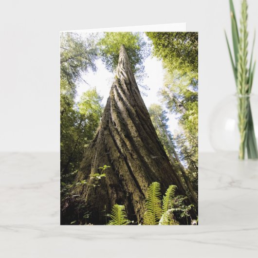 レッドウッド カード (正面)