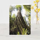 レッドウッド カード (黄色い花)