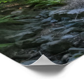 「レッドウッド・クリーク」、ミューア・ウッズ ポスター (角)