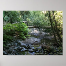 「レッドウッド・クリーク」、ミューア・ウッズ ポスター