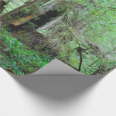 レッドウッド-セコイア ラッピングペーパー (角)