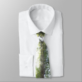 レッドウッド ネクタイ (タイ)