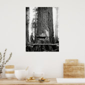 レッドウッド・ランバージャックc.1887 ポスター (キッチン)