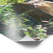 レッドウルフ フォトプリント            (角)