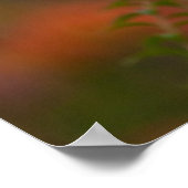 レッドウルフ ポスター (角)