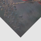 レッドエキゾチック（鳥）ショウジョウコウカンチョウ野生生物 薄葉紙 (詳細)