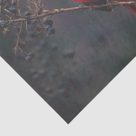 レッドエキゾチック（鳥）ショウジョウコウカンチョウ野生生物 薄葉紙 (詳細)