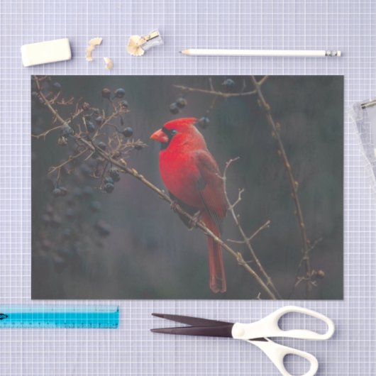 レッドエキゾチック（鳥）ショウジョウコウカンチョウ野生生物 薄葉紙 (クラフト)