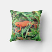 レッドエフトオレンジサラマンダー自然1  クッション (裏面)