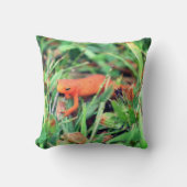 レッドエフトオレンジサラマンダー自然1  クッション (正面)