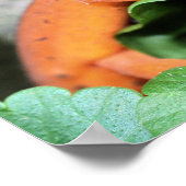 レッドエフトオレンジサラマンダー自然2 ポスター (角)