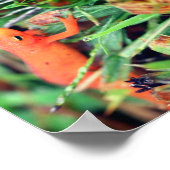 レッドエフトオレンジサラマンダー鏡抽象芸術 ポスター (角)