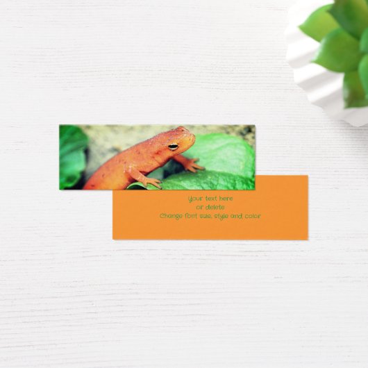 レッドエフトサラマンダー自然ミニブックマーク (デスク)