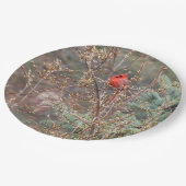 レッドオス(鳥)ショウジョウコウカンチョウオンフォーシンシアヘッジ ペーパープレート (アングル)
