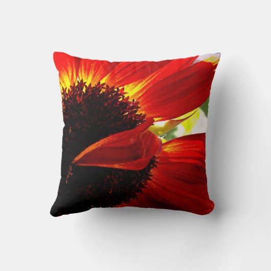 レッドオレンジゲルベラデイジーモダンはっきりした写真 クッション (裏面)