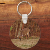 レッドオークカモフラージスタグバック食べ物を与えディアーズ キーホルダー (正面)