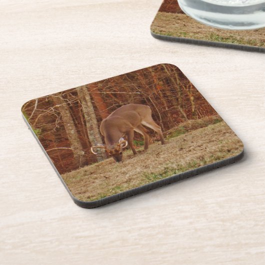 レッドオークカモフラージスタグバック食べ物を与えディアーズ コースター (左側)