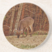 レッドオークカモフラージスタグバック食べ物を与えディアーズ コースター (正面)