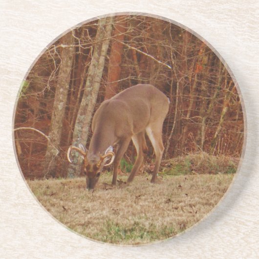レッドオークカモフラージスタグバック食べ物を与えディアーズ コースター (正面)