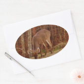 レッドオークカモフラージスタグバック食べ物を与えディアーズ 楕円形シール (封筒)